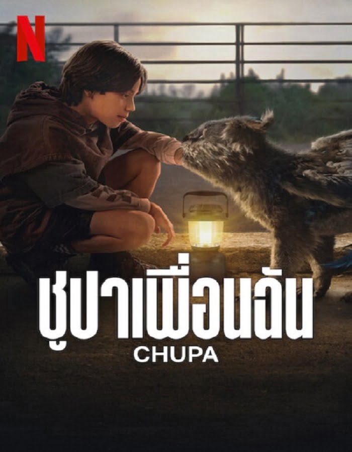 ดูหนัง Chupa (2023) ชูปาเพื่อนฉัน ดูหนัง ออนไลน์ HD88