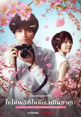ดูหนัง Love Like the Falling Petals (2022) ใบไม้ผลิที่ไม่มีเธอเป็นซากุระ