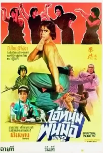 ดูหนัง Spiritual Kung Fu (1978) ไอ้หนุ่มพันมือ 2