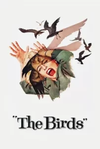 ดูหนัง The Birds (1963) นก นก นก