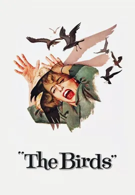 ดูหนัง The Birds (1963) นก นก นก