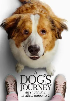 ดูหนัง A Dog’s Journey (2019) หมา เป้าหมาย และเด็กชายของผม 2